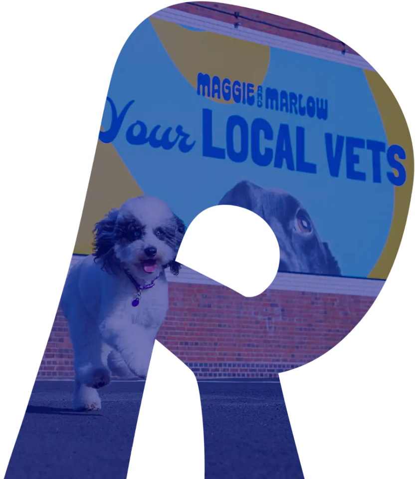 branch kidderminster